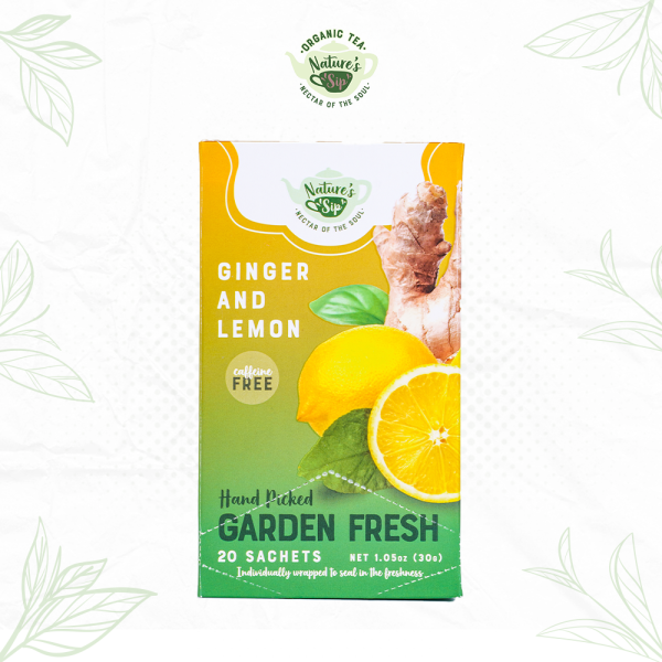 Nature's Sip Organic Tea Ginger & Lemon Tea Bags