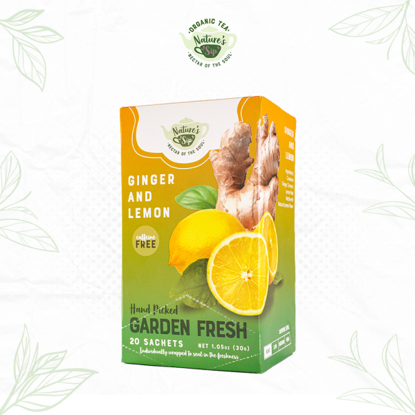 Nature's Sip Organic Tea Ginger & Lemon Tea Bags